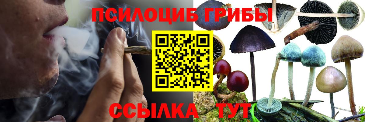 Галлюциногенные грибы GOLDEN TEACHER Люберцы